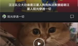 微拍短视频,捕捉生活瞬间，展现时代风采